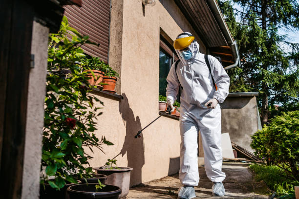 Wasp Removal Services in Georgetown, OH